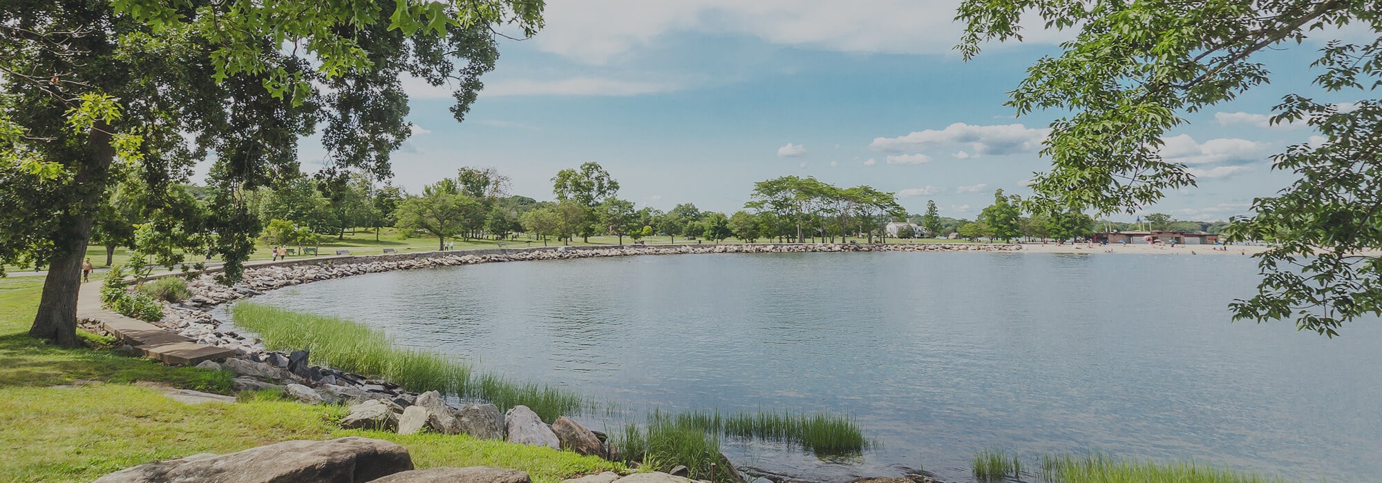 View overlooking lake circled by grass, trees, and rocks