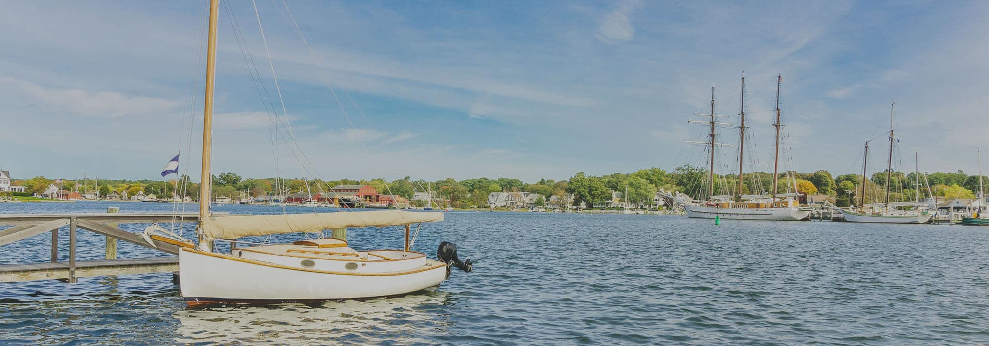 Sailboats on the water with tree line in the background